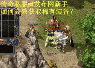 传奇私服sf发布网新手如何高效获取稀有装备？