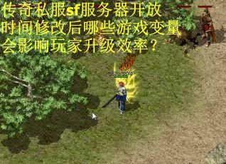 传奇私服sf服务器开放时间修改后哪些游戏变量会影响玩家升级效率？
