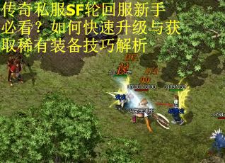 传奇私服SF轮回服新手必看？如何快速升级与获取稀有装备技巧解析