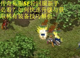 传奇私服SF轮回服新手必看？如何快速升级与获取稀有装备技巧解析
