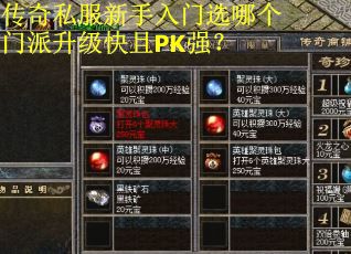 传奇私服新手入门选哪个门派升级快且PK强？