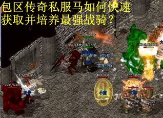 包区传奇私服马如何快速获取并培养最强战骑？