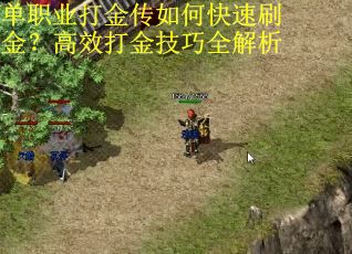 单职业打金传如何快速刷金？高效打金技巧全解析