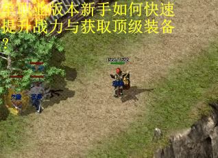 单职业版本新手如何快速提升战力与获取顶级装备？