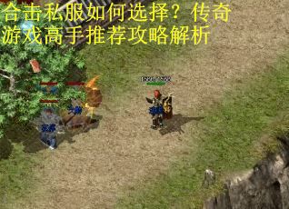 合击私服如何选择？传奇游戏高手推荐攻略解析