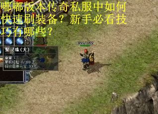 嘟嘟版本传奇私服中如何快速刷装备？新手必看技巧有哪些？