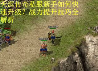 天涯传奇私服新手如何快速升级?战力提升技巧全解析 天涯传奇私服新手如何快速升级?战力提升技巧全解析