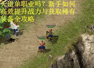 天道单职业吗?新手如何高效提升战力与获取稀有装备全攻略 天道单职业吗?新手如何高效提升战力与获取稀有装备全攻略