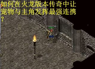 如何在火龙版本传奇中让宠物与主角发挥最强连携？