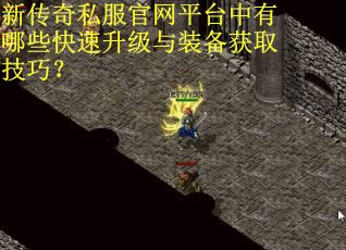 新传奇私服官网平台中有哪些快速升级与装备获取技巧？