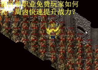 新区单职业免费玩家如何在一周内快速提升战力？