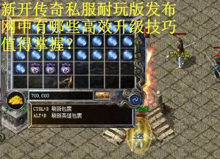 新开传奇私服耐玩版发布网中有哪些高效升级技巧值得掌握？