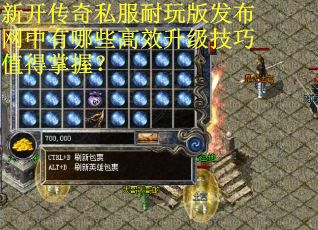 新开传奇私服耐玩版发布网中有哪些高效升级技巧值得掌握？