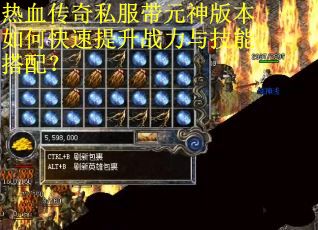 热血传奇私服带元神版本如何快速提升战力与技能搭配？