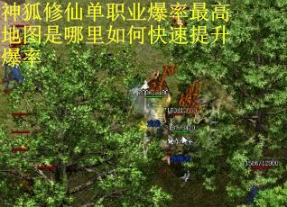 神狐修仙单职业爆率最高地图是哪里如何快速提升爆率 神狐修仙单职业爆率最高地图是哪里如何快速提升爆率