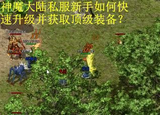 神魔大陆私服新手如何快速升级并获取顶级装备? 神魔大陆私服新手如何快速升级并获取顶级装备?