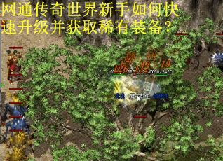 网通传奇世界新手如何快速升级并获取稀有装备? 网通传奇世界新手如何快速升级并获取稀有装备?