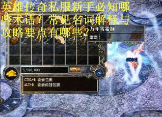 英雄传奇私服新手必知哪些术语?常见名词解释与攻略要点有哪些? 英雄传奇私服新手必知哪些术语?常见名词解释与攻略要点有哪些?