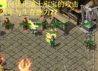 如何优化道士宝宝的攻击效率与生存能力??