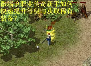 微端单职业传奇新手如何快速提升等级与获取稀有装备？