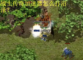 战士传奇加速器怎么打沼泽？