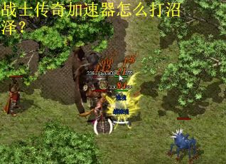 战士传奇加速器怎么打沼泽？