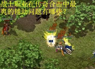 战士职业在传奇合击中最爽的辅助问题有哪些? 战士职业在传奇合击中最爽的辅助问题有哪些?