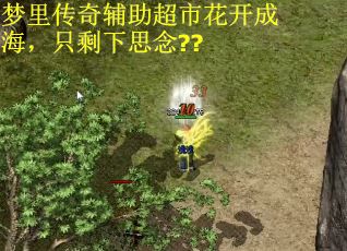 梦里传奇辅助超市花开成海，只剩下思念??