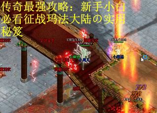 传奇最强攻略：新手小白必看征战玛法大陆の实用秘笈