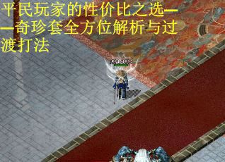 平民玩家的性价比之选——奇珍套全方位解析与过渡打法