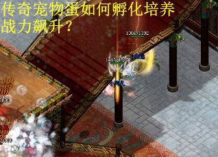 传奇宠物蛋如何孵化培养战力飙升？