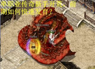 单职业传奇新手开荒，前期如何快速发育？