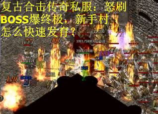 复古合击传奇私服：怒刷BOSS爆终极，新手村怎么快速发育？