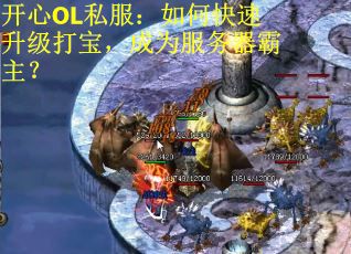 开心OL私服：如何快速升级打宝，成为服务器霸主？