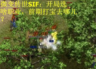 微变传世SIF：开局选啥职业，前期打宝去哪儿？
