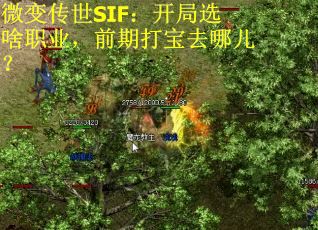 微变传世SIF：开局选啥职业，前期打宝去哪儿？