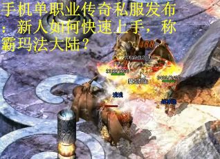 手机单职业传奇私服发布：新人如何快速上手，称霸玛法大陆？