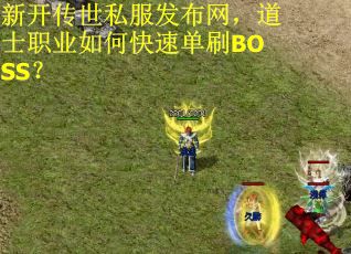 新开传世私服发布网，道士职业如何快速单刷BOSS？