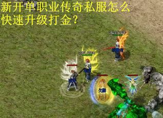 新开单职业传奇私服怎么快速升级打金？