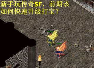 新手玩传奇SF，前期该如何快速升级打宝？