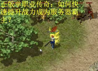 正版单职业传奇：如何快速提升战力成为服务器霸主？
