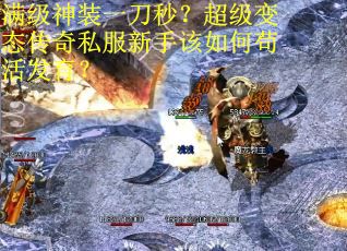满级神装一刀秒？超级变态传奇私服新手该如何苟活发育？