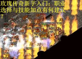 玫瑰传奇新手入门：职业选择与技能加点有何建议？