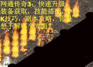 网通传奇3：快速升级，装备获取，技能搭配，PK技巧，副本攻略，你最想了解哪个方面？
