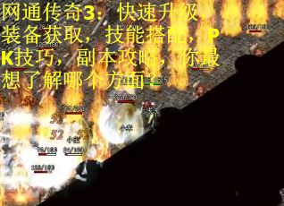 网通传奇3：快速升级，装备获取，技能搭配，PK技巧，副本攻略，你最想了解哪个方面？