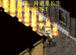 羽化登仙路，问道觅长生，飘渺仙踪何处寻？