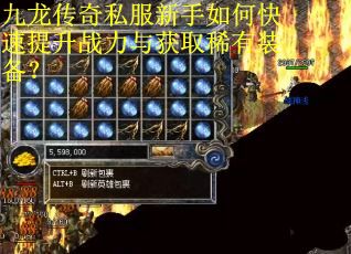 九龙传奇私服新手如何快速提升战力与获取稀有装备？