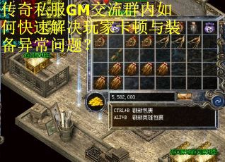 传奇私服GM交流群内如何快速解决玩家卡顿与装备异常问题？