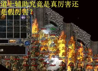 道士辅助究竟是真厉害还是假厉害？