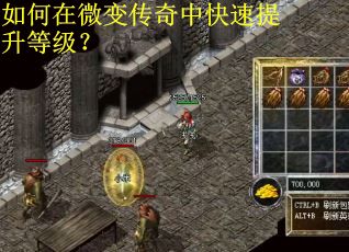 如何在微变传奇中快速提升等级？